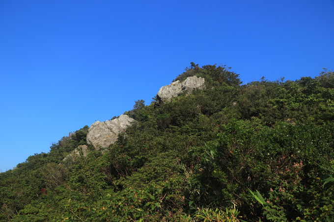 ��y���R�̖��͂𖞋i�ł���u�����x�v�n�C�L���O