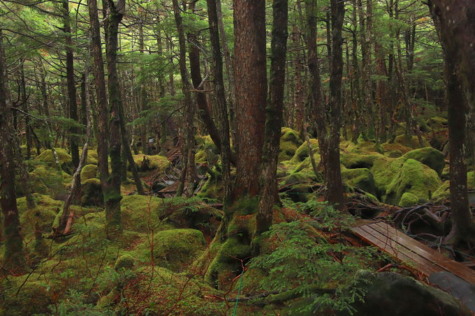 ꂼĝ̂P̐EhÎ̂̐X`r