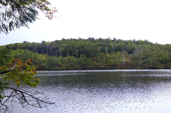 ꂼĝ̂P̐EhÎ̂̐X`r