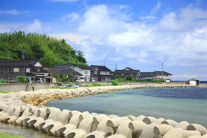 fpȂ痷鋙iIBsuOnv