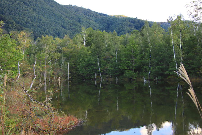 ԂōsIW1800m̔鋫uƍv