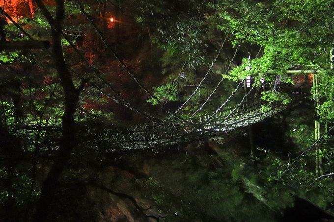 祖谷渓名物「かずら橋」を楽しむにはもってこい！