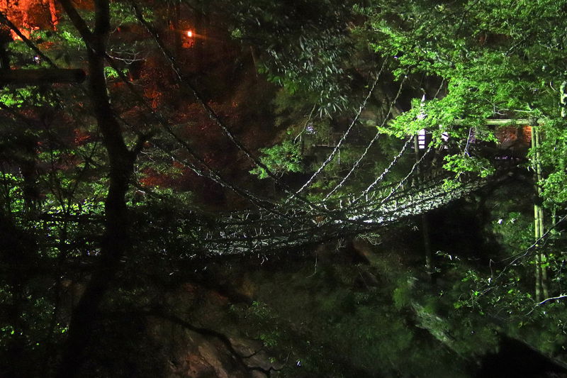 かずら橋尽くし！徳島「祖谷観光旅館」で日本三大秘境を満喫