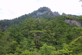 m̌FÓ!?V̎RxuPRvoRKCh̋LTlC