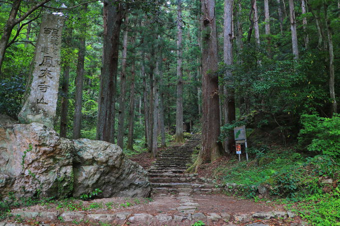 「鳳来寺山」の登り方！石段or最短ルートをとるか？
