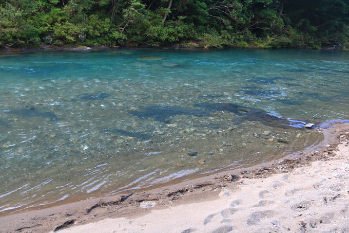 m̒mlm铒u[v͑厩R̎