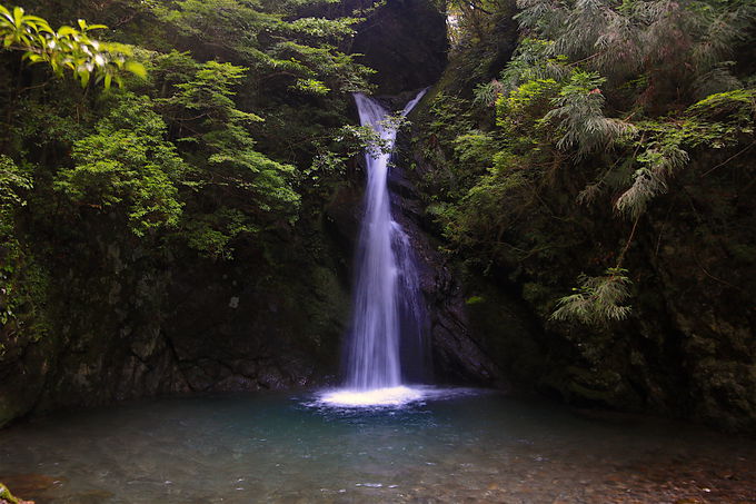 l\쌹▼eILȎlRԕ̎R낤