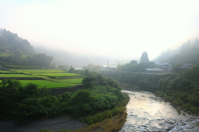 m̒mlm铒u[v͑厩R̎