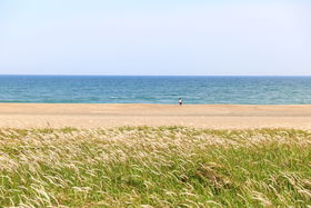 ȂYȊCImuv̐iX|bg4I̋LTlC