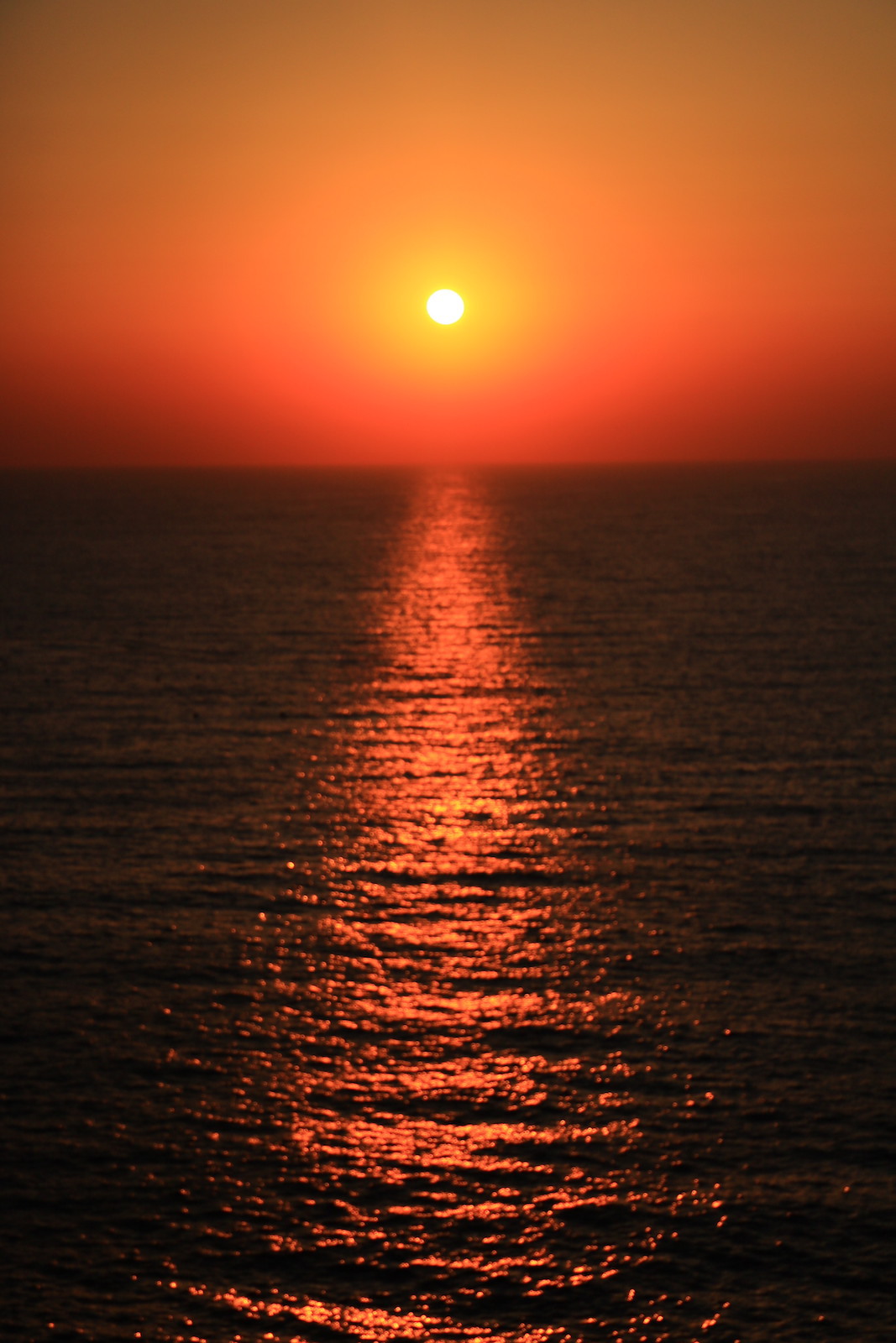 LV^̋OՂƔC̋Iܓuʓv