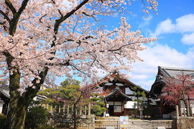 t̂܂邲ƔpقIs㋞Łu̐ivs̋LTlC