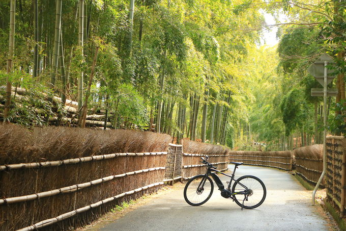 巨大古墳と竹林が作る世界へサイクリングトリップ！