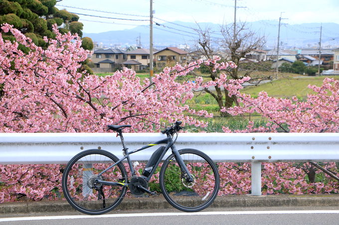 歴史・自然が点在する「京都西山・乙訓」だからこそ"サイクリング"
