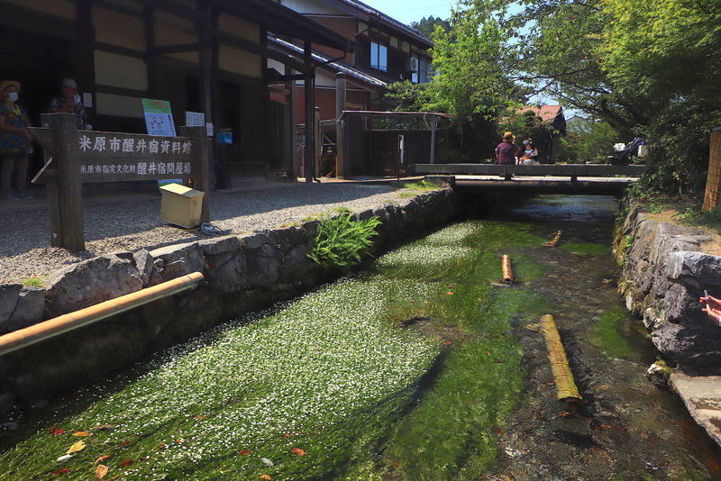 夏の滋賀「醒井」を散策。梅花藻&スイーツで涼感に浸ろう