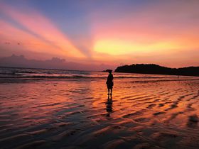 r[`Añp[^C암um[iRanongjv̋LTlC