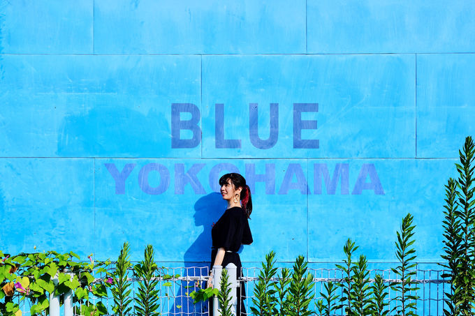 l`߂BLUEiu[jȃCX^fVbvł