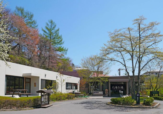 �l�C�̓��A�艷��{�݂��N�[�|���ł����ɁI