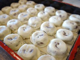 _l~肽CIɐE񌩉Yӂ̃IXXVܘaَq4̋LTlC