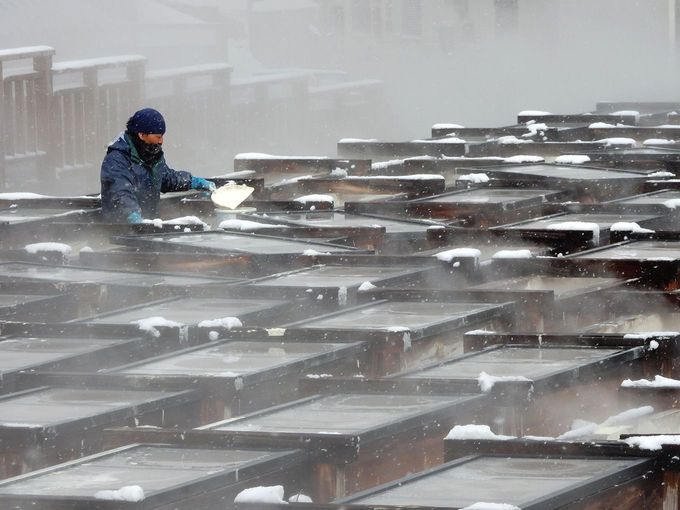 ���É���l�C�̂��y�Y�Ƃ����΁u���̉؁v