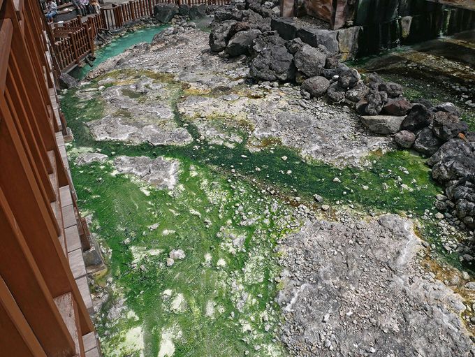 ���ǂ��낢���ς��A�������y���݂������I