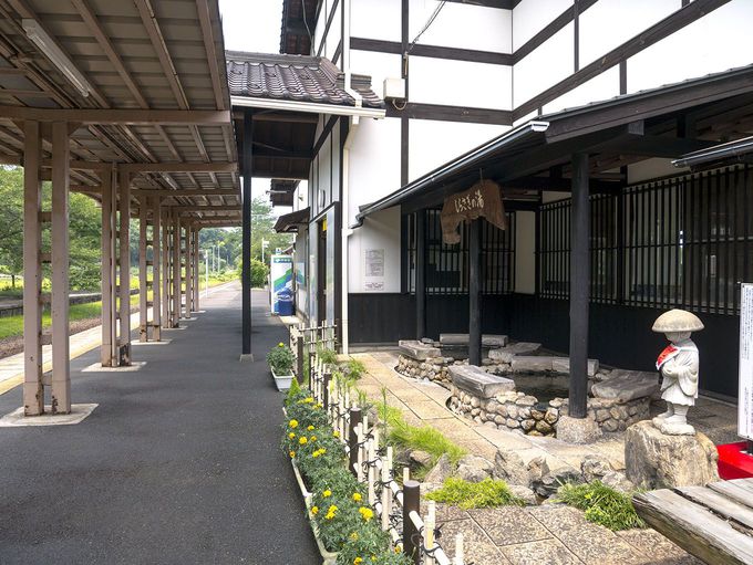 �z�[���̑����łЂƋx�݁u�[�����Y�ؒÉ���w�v