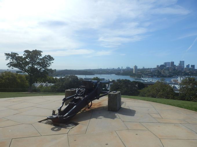 Vhj[V̂uIuU[og[EqEp[NvX^[g