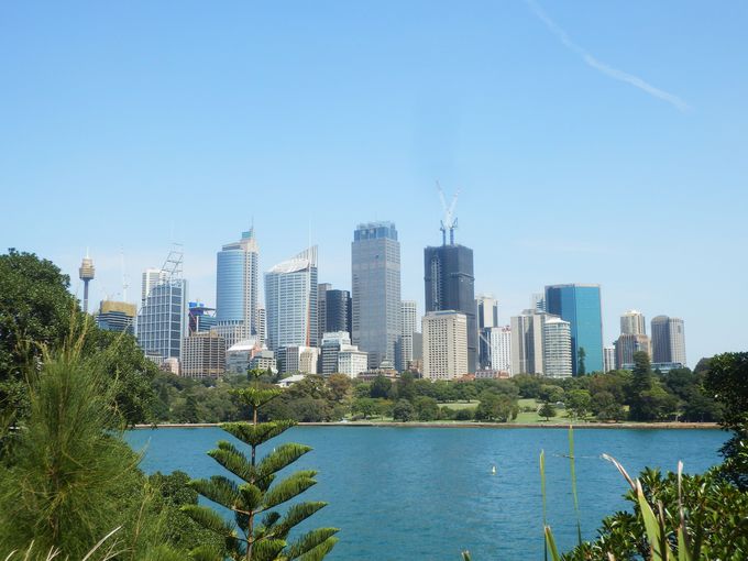 iX|bg̒ԁu~ZXE}bR[[YE|Cgv