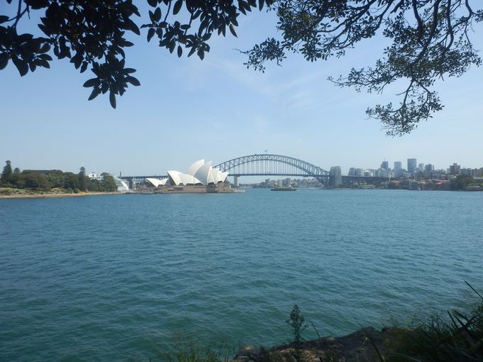 iX|bg̒ԁu~ZXE}bR[[YE|Cgv