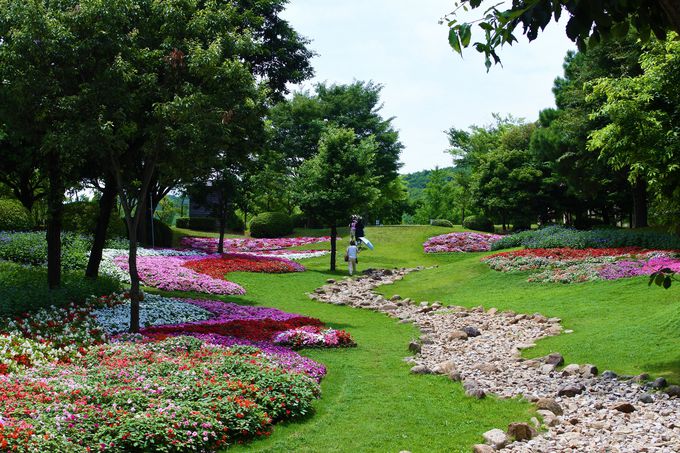 2�D�W�H�����c���ΊC������