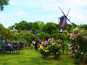 千葉・ふなばしアンデルセン公園で世界中の素敵なバラを鑑賞しよう！