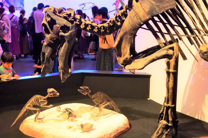 ワクワクが止まらない 世界初公開の恐竜が見られる上野 恐竜博19 東京都 トラベルjp 旅行ガイド