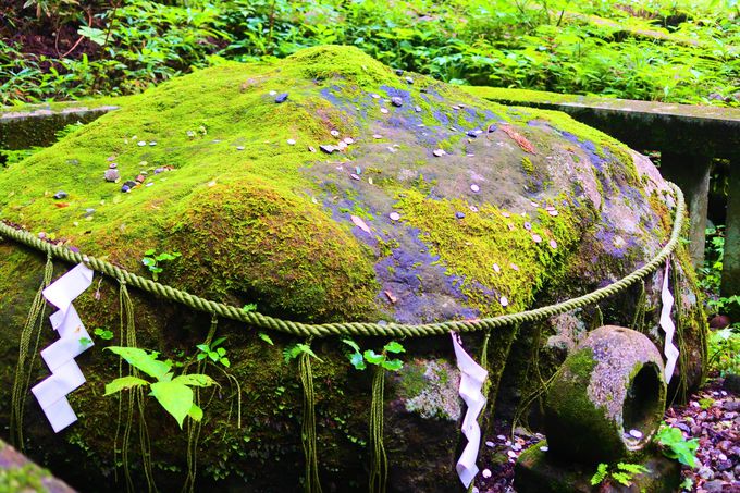 運試しや子宝運まで 栃木 日光 滝尾神社 でパワーチャージ 栃木県 トラベルjp 旅行ガイド