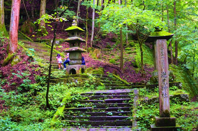 運試しや子宝運まで 栃木 日光 滝尾神社 でパワーチャージ 栃木県 トラベルjp 旅行ガイド