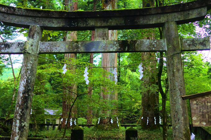 運試しや子宝運まで 栃木 日光 滝尾神社 でパワーチャージ 栃木県 トラベルjp 旅行ガイド