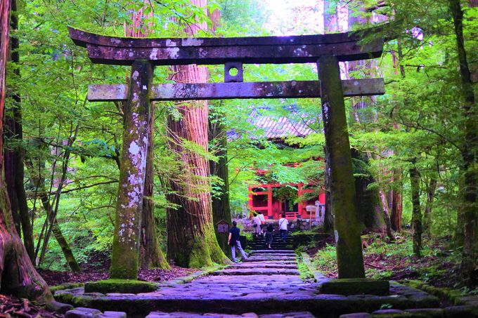 運試しや子宝運まで 栃木 日光 滝尾神社 でパワーチャージ 栃木県 Lineトラベルjp 旅行ガイド