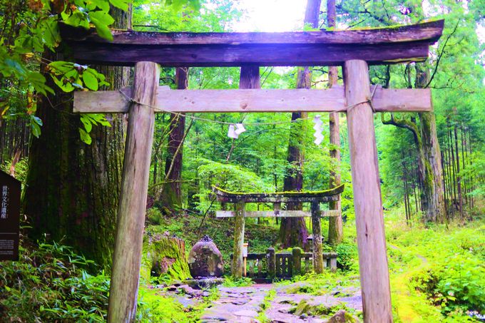 栃木の歴史ある 日光三社 巡りでパワーチャージの旅 栃木県 トラベルjp 旅行ガイド