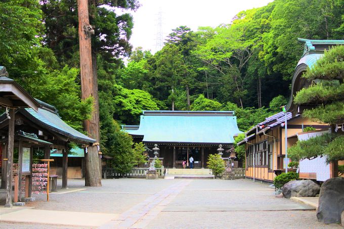 神奈川の由緒ある神社といえば 相模国二之宮で有名な 川勾神社 神奈川県 Lineトラベルjp 旅行ガイド