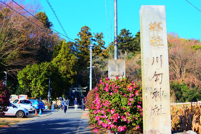神奈川の由緒ある神社といえば 相模国二之宮で有名な 川勾神社 神奈川県 Lineトラベルjp 旅行ガイド