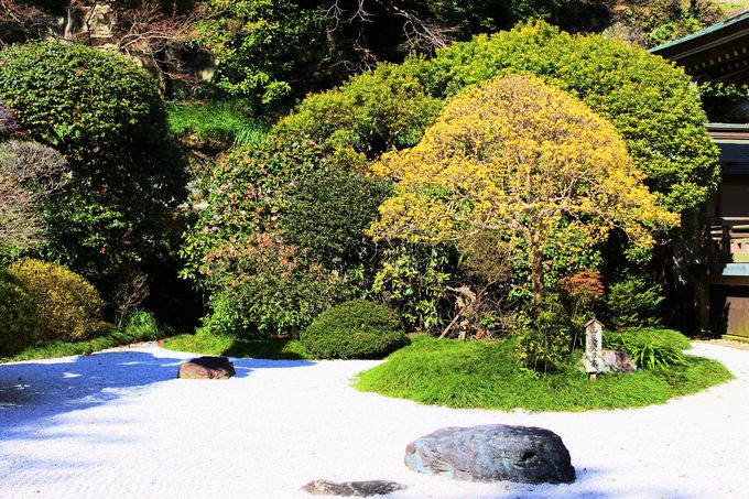 �l�ю�т�������u���{�뉀�v