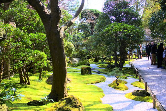 �l�ю�т�������u���{�뉀�v