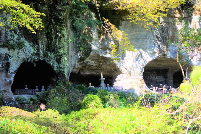 �񍑎��̗��j