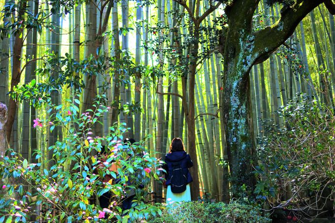 �������u�|�̒�v�I