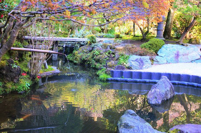 �񍑎��ւ̃A�N�Z�X�I