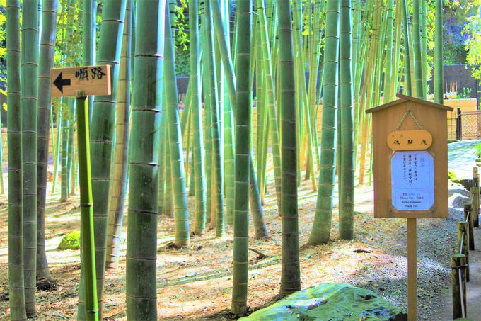 �������u�|�̒�v�I