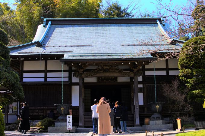 �񍑎��̗��j