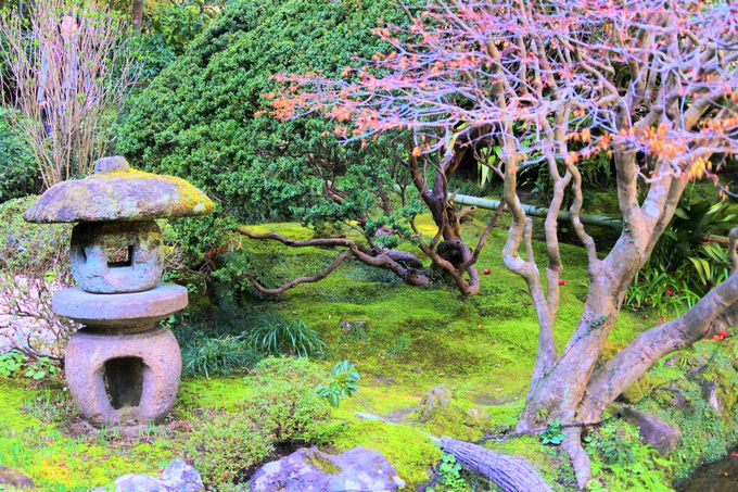 �񍑎��ւ̃A�N�Z�X�I