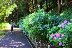 Ԃh}[NIYȐtuڂ̎R_ƌv̋LTlC