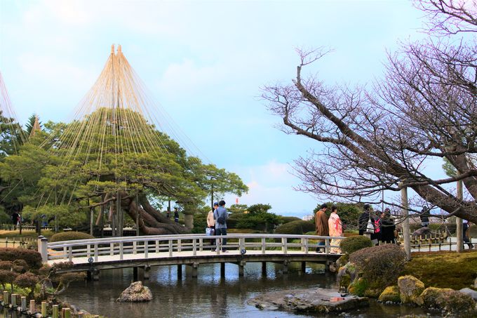 歴代加賀藩主が手掛けた庭園 兼六園 歴史と趣ある日本三名園 石川県 トラベルjp 旅行ガイド