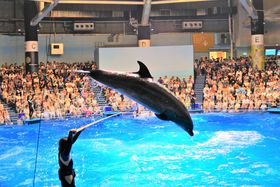 �q������ԁI�����s���������ߊό��X�|�b�g10�I ��l���ꏏ�Ɋy�������I�̋L���T���l�C��