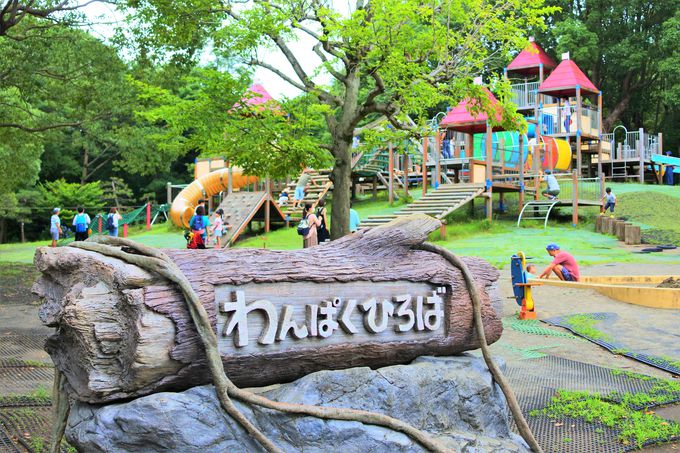 隠れた日本庭園も 神奈川 平塚市総合公園 で過ごす優雅なひと時 神奈川県 トラベルjp 旅行ガイド